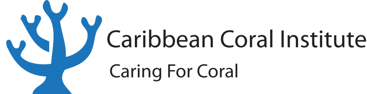 Caribbean Coral Institute.org